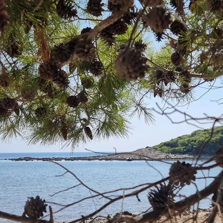 Apartment Summer Park Peljesac Orebic