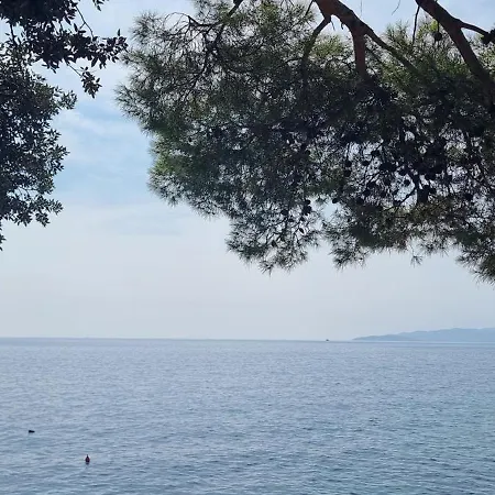 Summer Park Peljesac Apartment