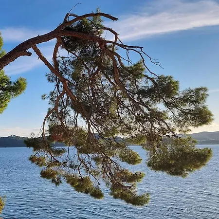 Summer Park Peljesac * Orebic