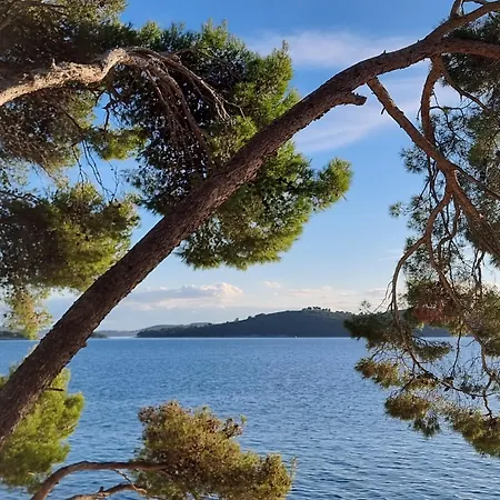 Summer Park Peljesac Apartment