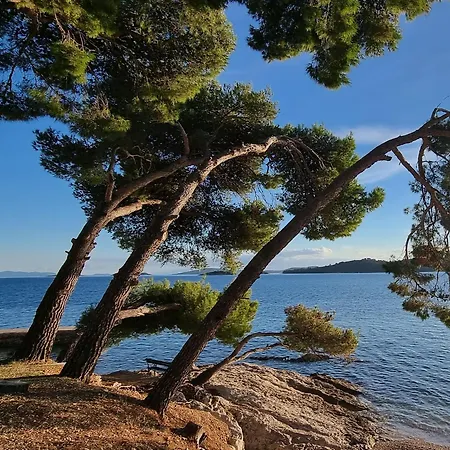 Summer Park Peljesac *